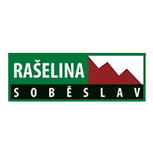 raselina_logo.png
